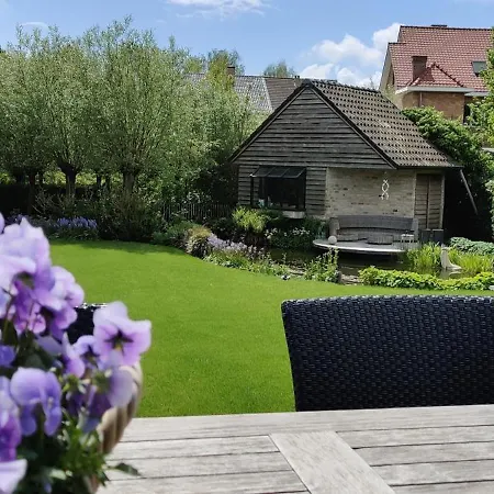 7t Bruges