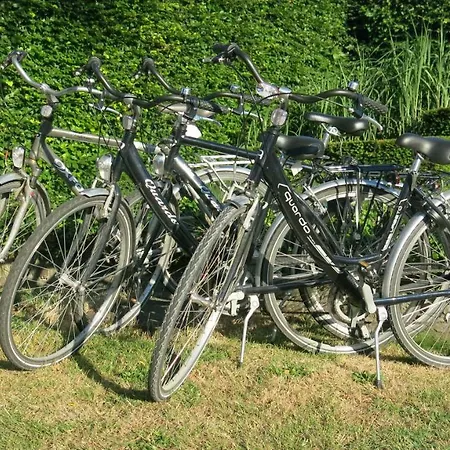 7t